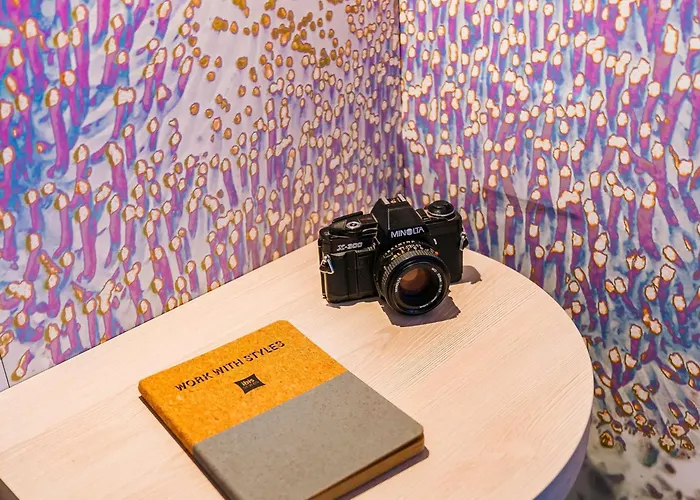 이비스 스타일 앙티베